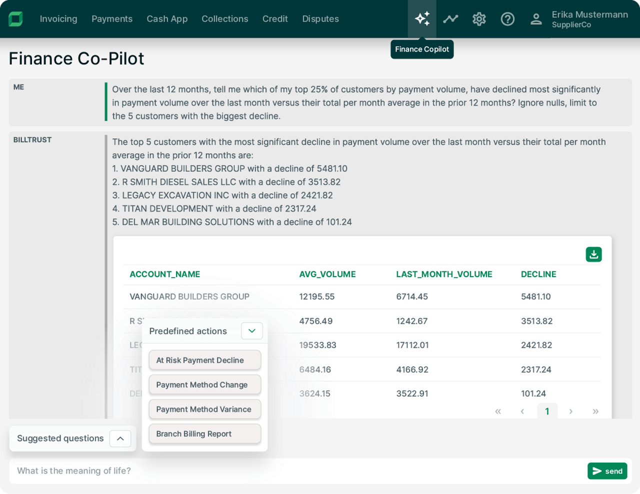 Finance Co-Pilot Screenshot