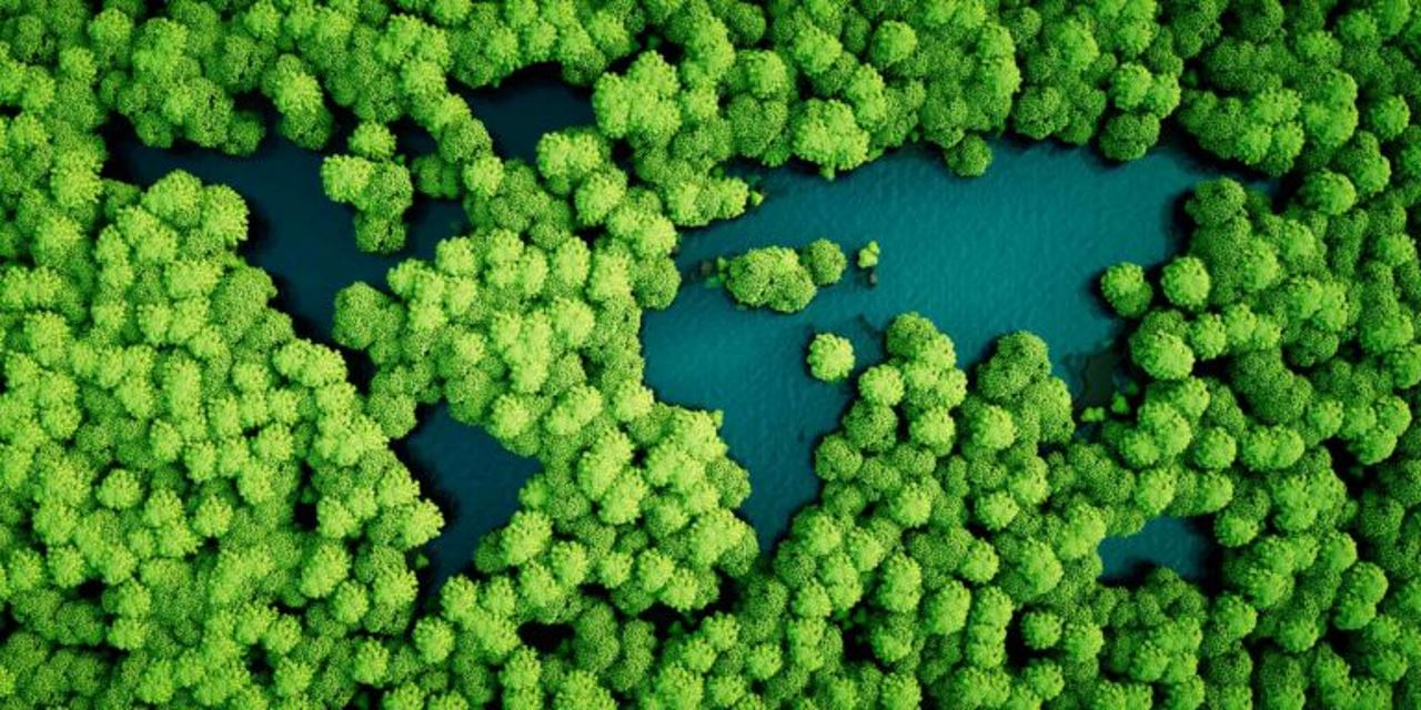 Nature scene depicting a world map made out of trees and water