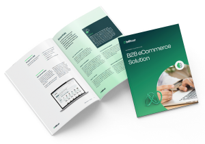 B2B eCommerce solution guide